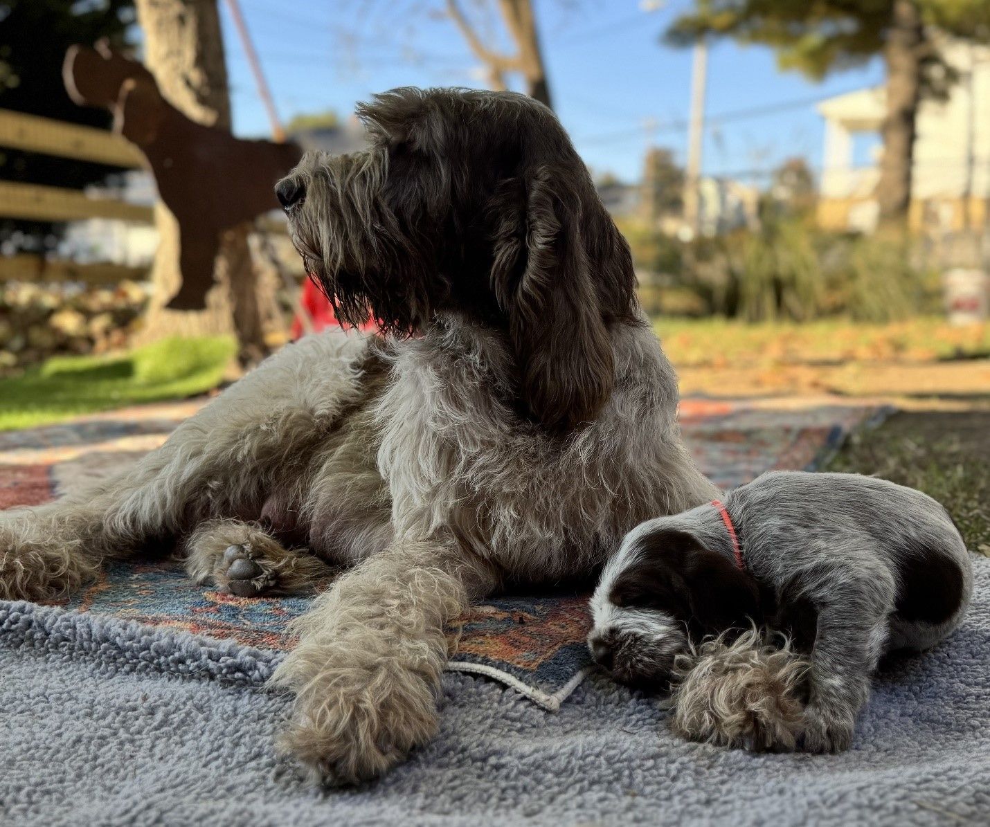 A dog is laying on a blanket next to a stuffed animal.