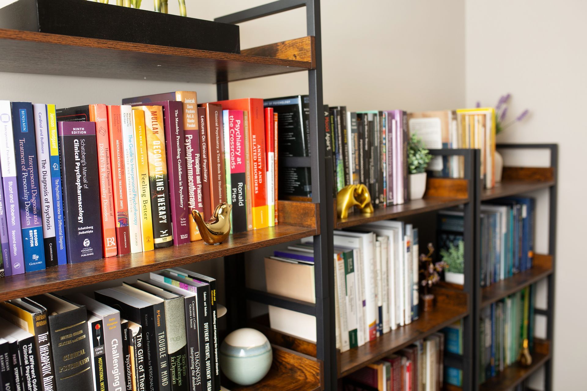 Bookshelves filled with various books; dark metal frame, wooden shelves.