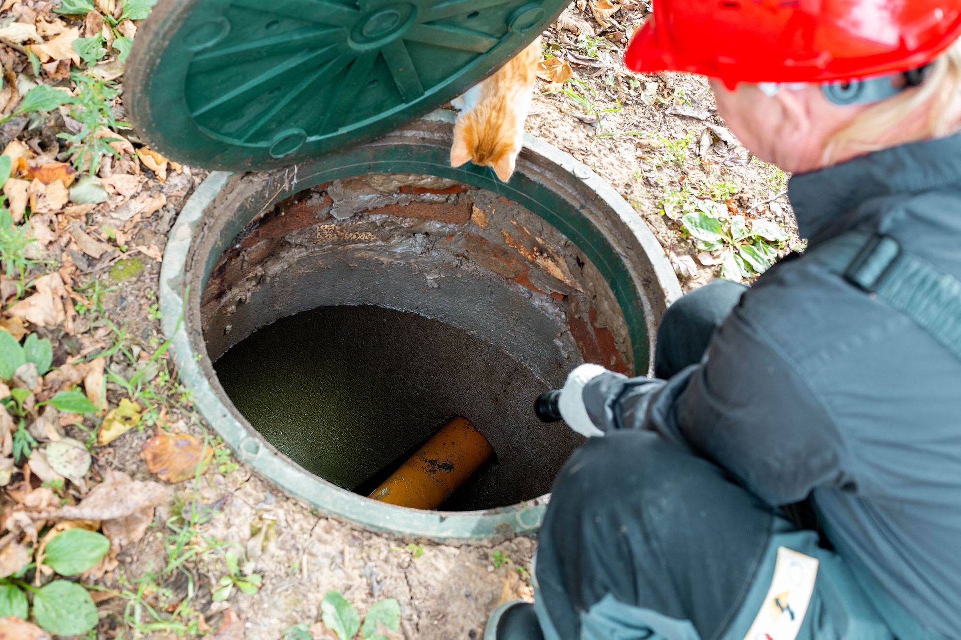 A person in a red hard hat and work clothes shines a flashlight into an open sewer manhole as a cat watches from the rim.