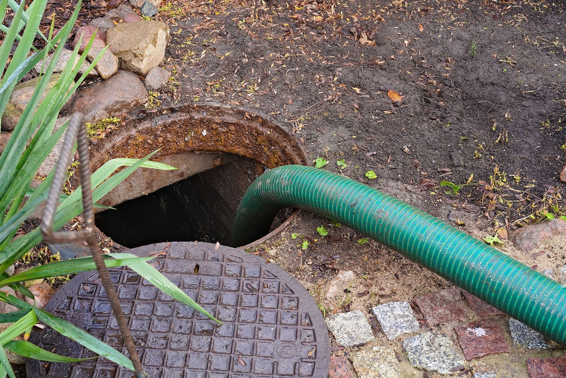 A green suction hose inserted into an open, circular underground tank or sewer access point in a yard.