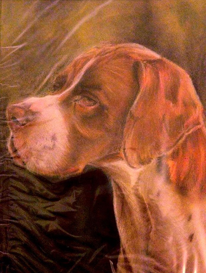 Pointer