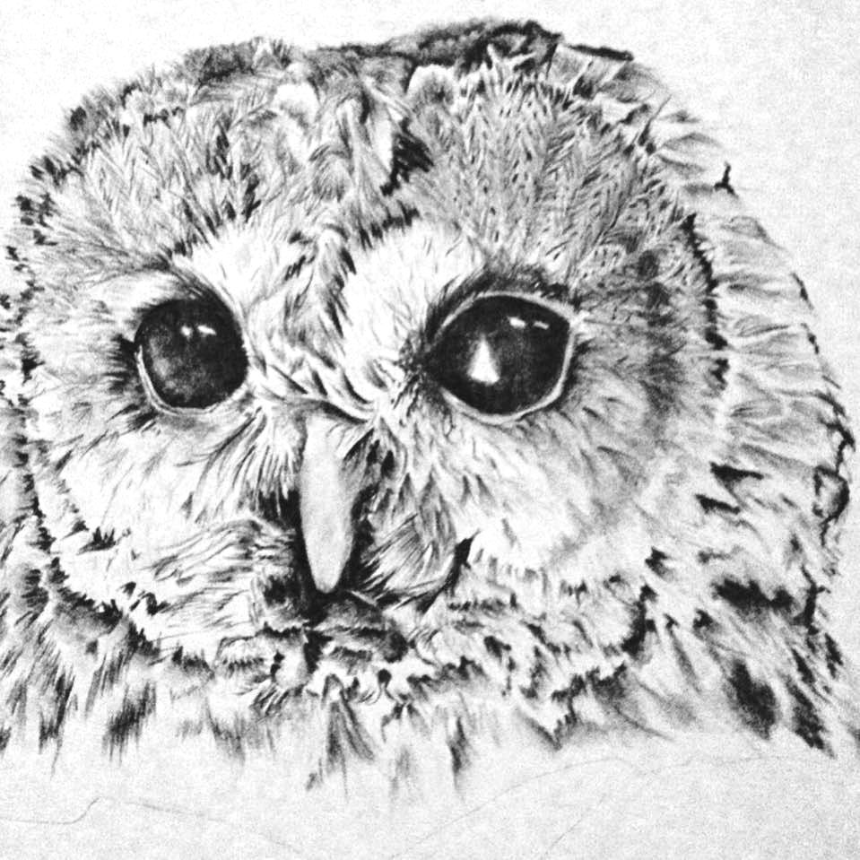pencil
