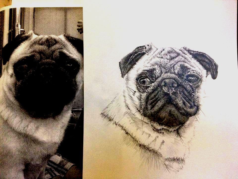 Pug 3