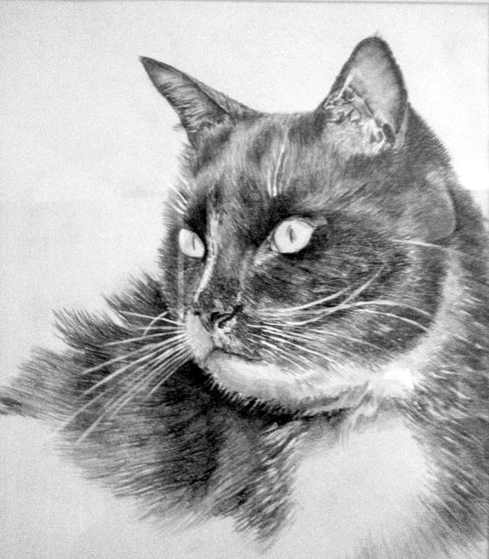 Produced in chalk pastels
