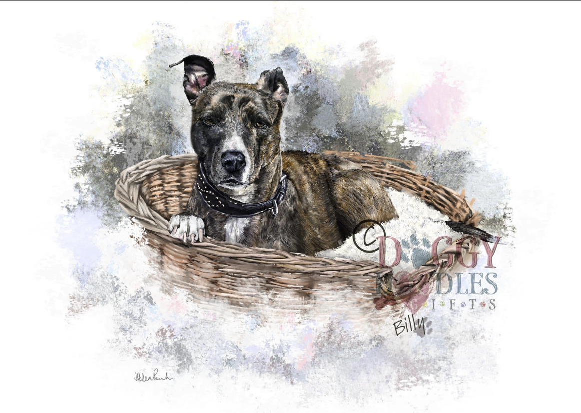 Billy dog in a basket
