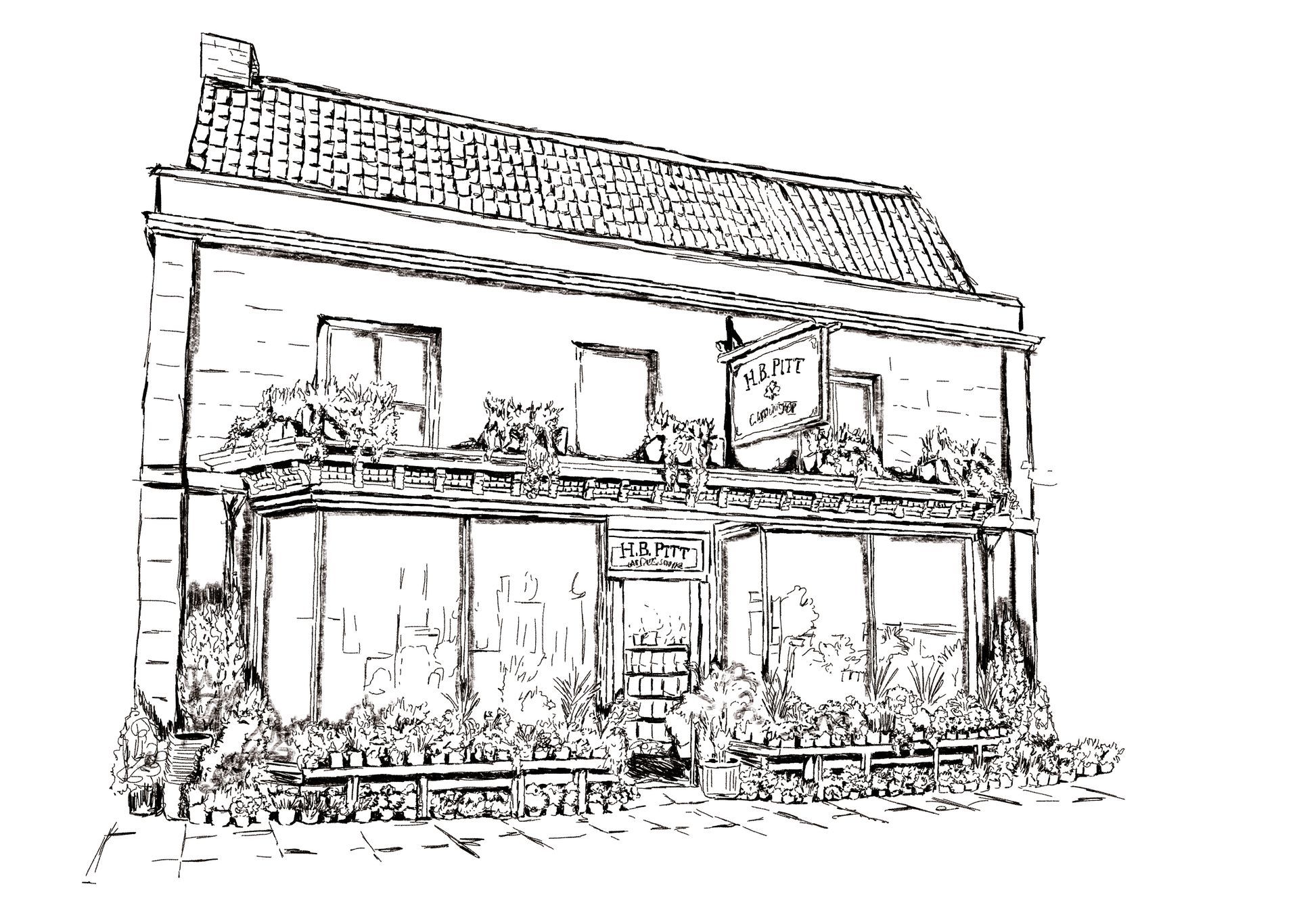 HB pitt illustration