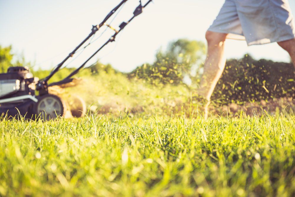 A man is mowing his lawn with a lawn mower.