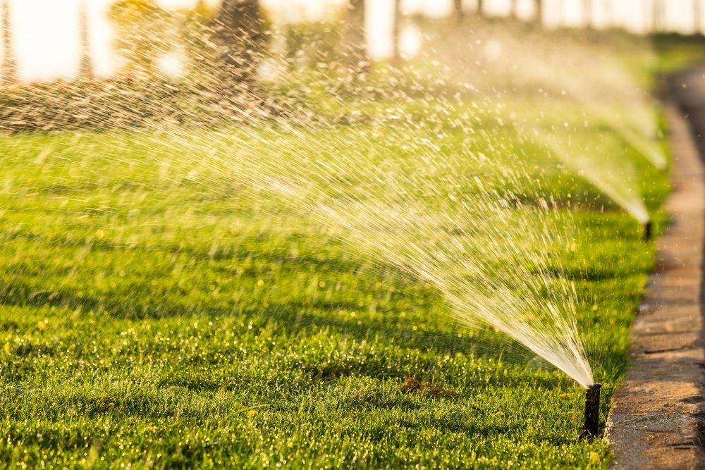 A row of sprinklers spraying water on a lush green lawn.