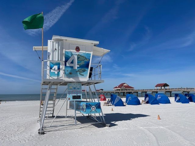 COPYRIGHT IMAGE--Misty Daugherty all rights reserved 2024