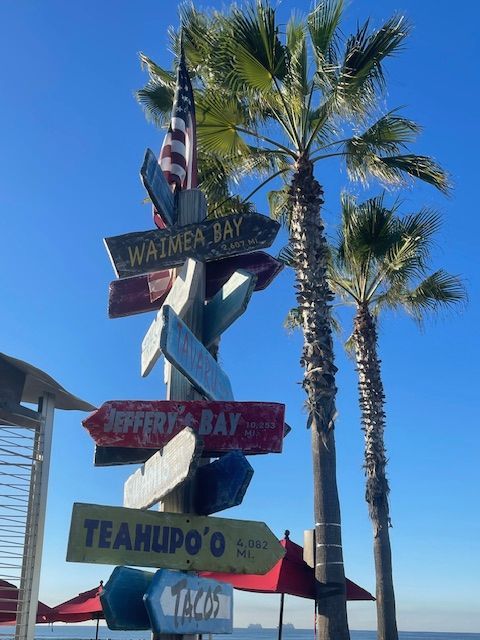 COPYRIGHT IMAGE--Misty Daugherty all rights reserved 2024