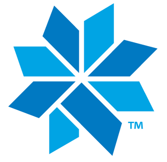 Official CoolSculpting Snowflake Logo