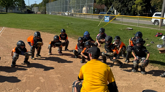 Several Catcher's training in their ready position