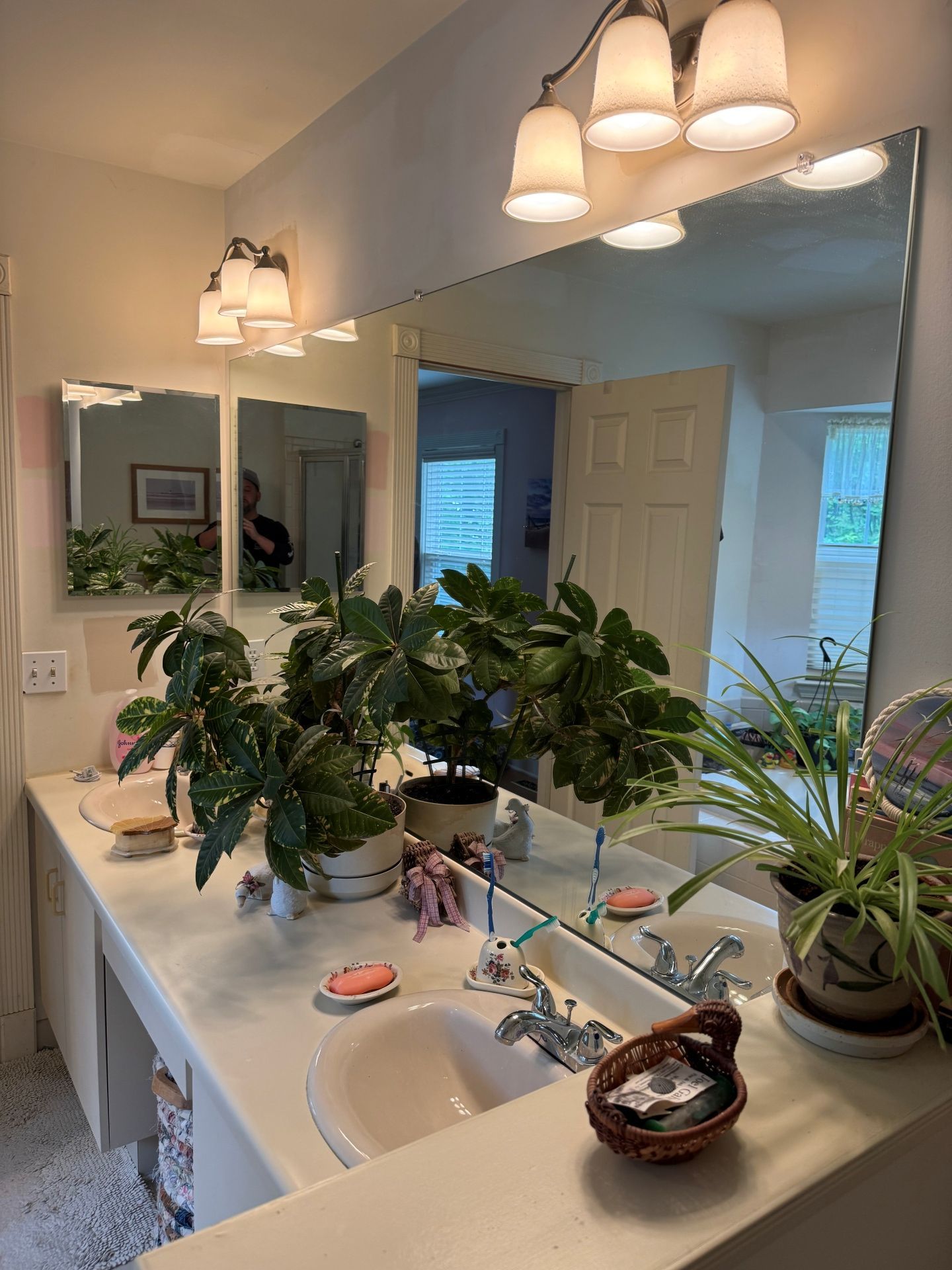A bathroom vanity with two sinks, reflective mirrors, and several potted plants sitting on the counter.