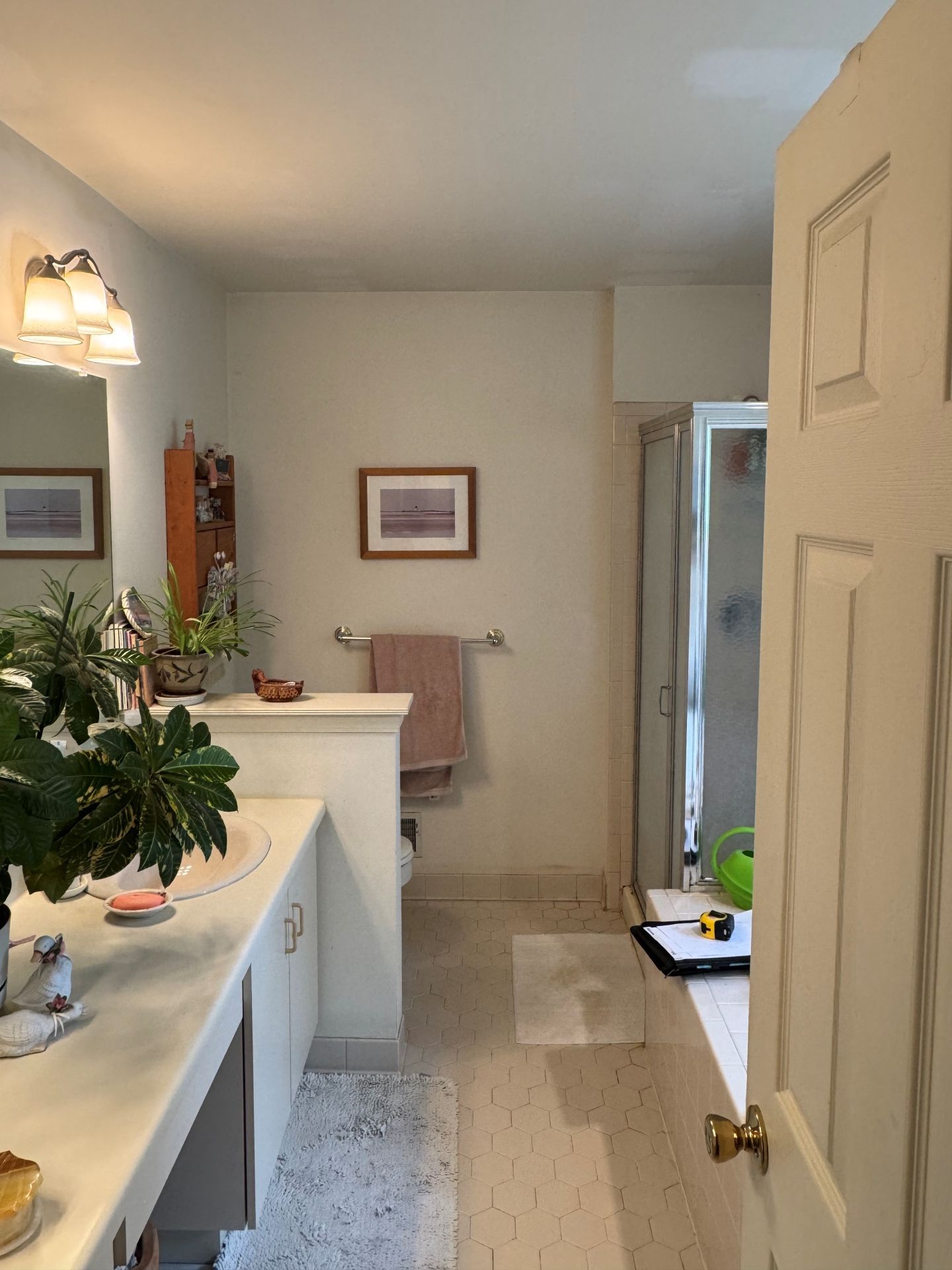 A bathroom with a white vanity, a mirror, a hanging plant, a framed picture on the wall, and a shower stall in the back.