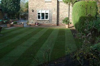 turfing solutions