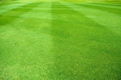 turfing solutions
