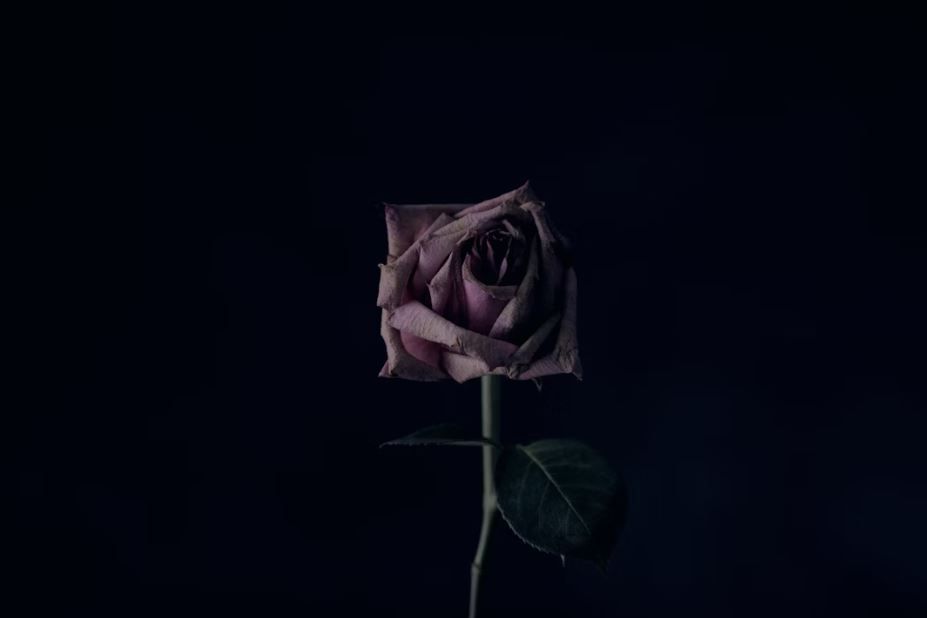 Funerals Home Resources for Spiritual Healing - Taneytown, MD