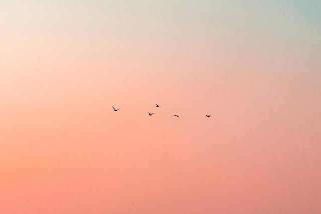 cremation services Westminster, MD