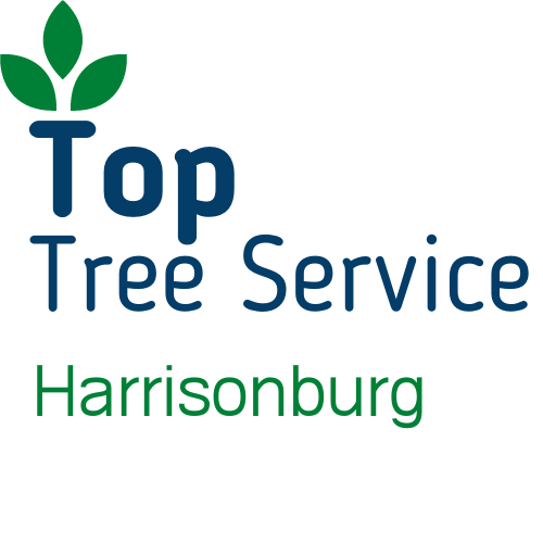 Tops Tree Service Harrisonburg