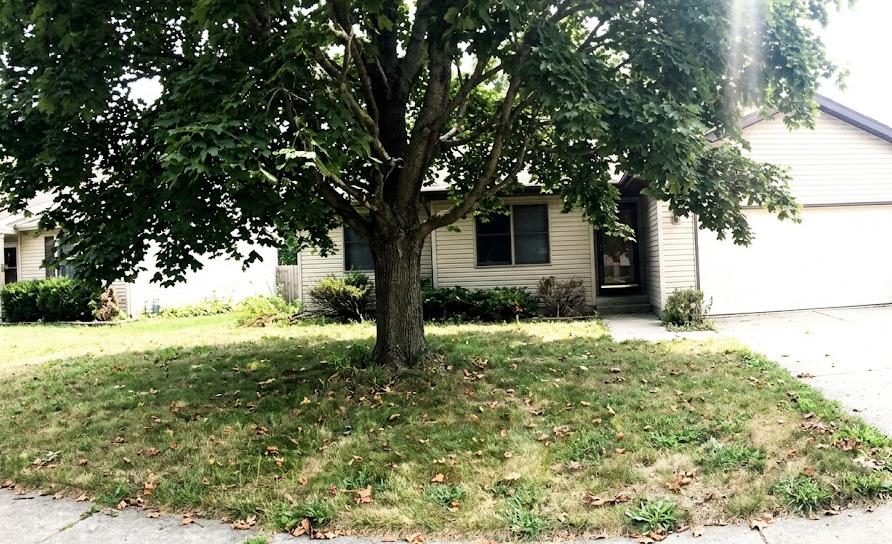 A neatly trimmed and pruned maple tree in a beautiful Rockingham County residential front yard.