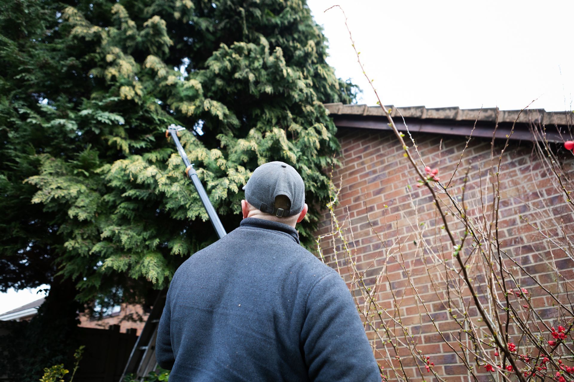 A tree cutter trims down the tree branches that overhang the roof of a brick building.