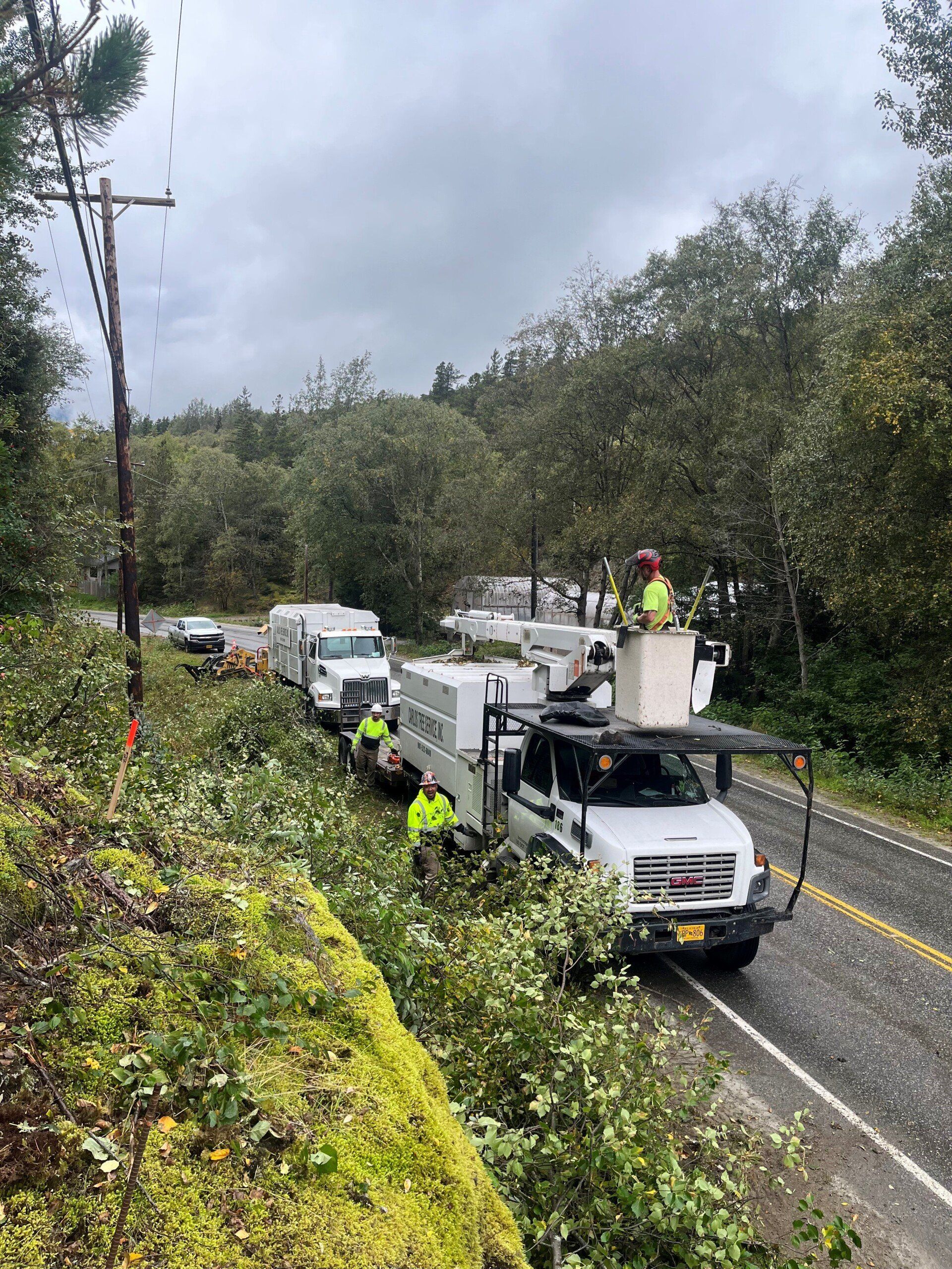 Utility workers in bucket truck repair power lines along a road, surrounded by greenery, on a cloudy day.