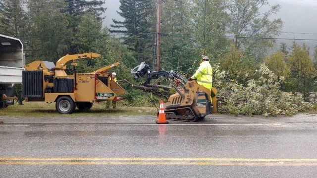 Tree Service Team — Anchorage, AK — Carlos Tree Service Inc