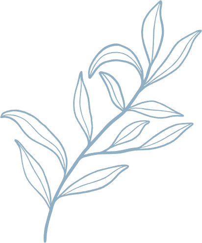 Blue-grey line drawing of a leafy branch with elongated leaves.