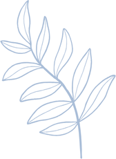 Pale blue line drawing of a leafy stem.