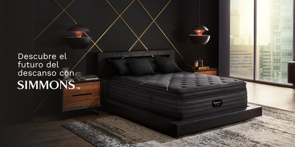 El Futuro del Descanso
