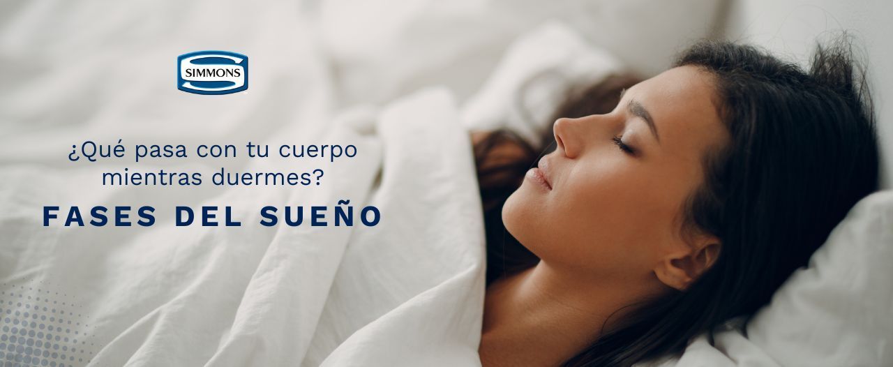 Fases del sueño