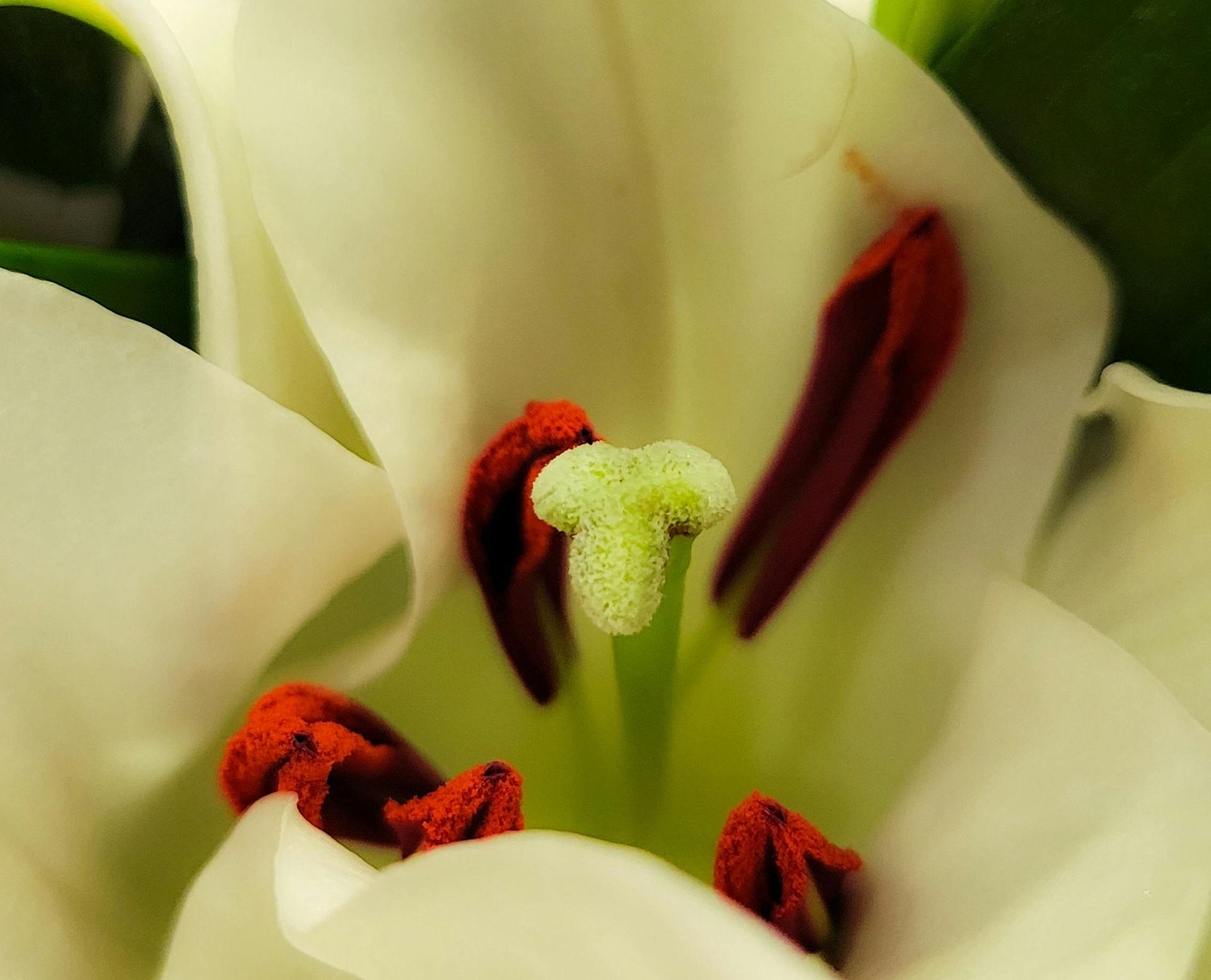 Advertisement: Sponsor Bibles & Hymnals for resource shelves. Sign up at Ministry Center.