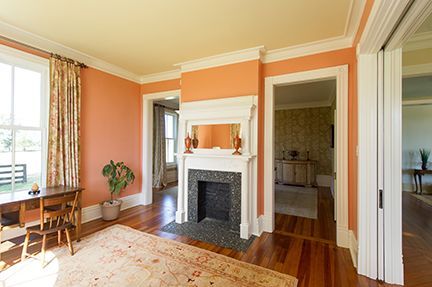Living room with peach walls, fireplace, hardwood floors, and a rug.