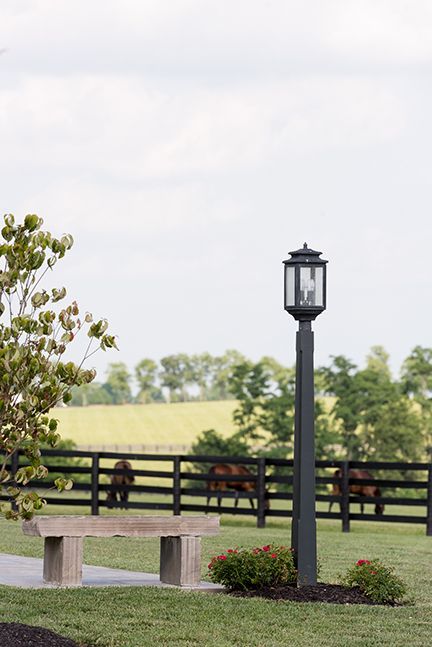 Stone bench and lamppost in a field with horses and a black fence.