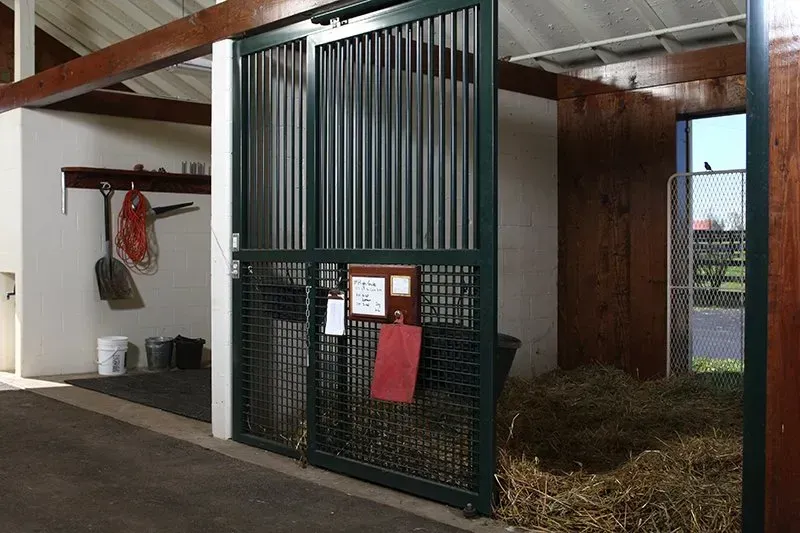 Green stall door in a stable, hay on the ground.  A red hanging bag, white wall and a window.