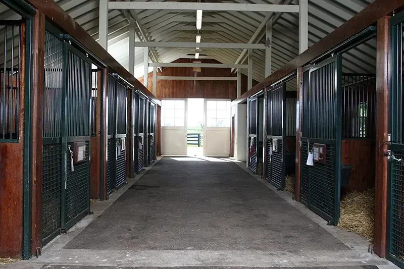 Interior of a horse stable, with stalls on either side of a central walkway, light streaming in from windows.