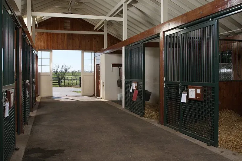 Interior of a stable with open stalls, straw bedding, and a view of a pasture through a doorway.