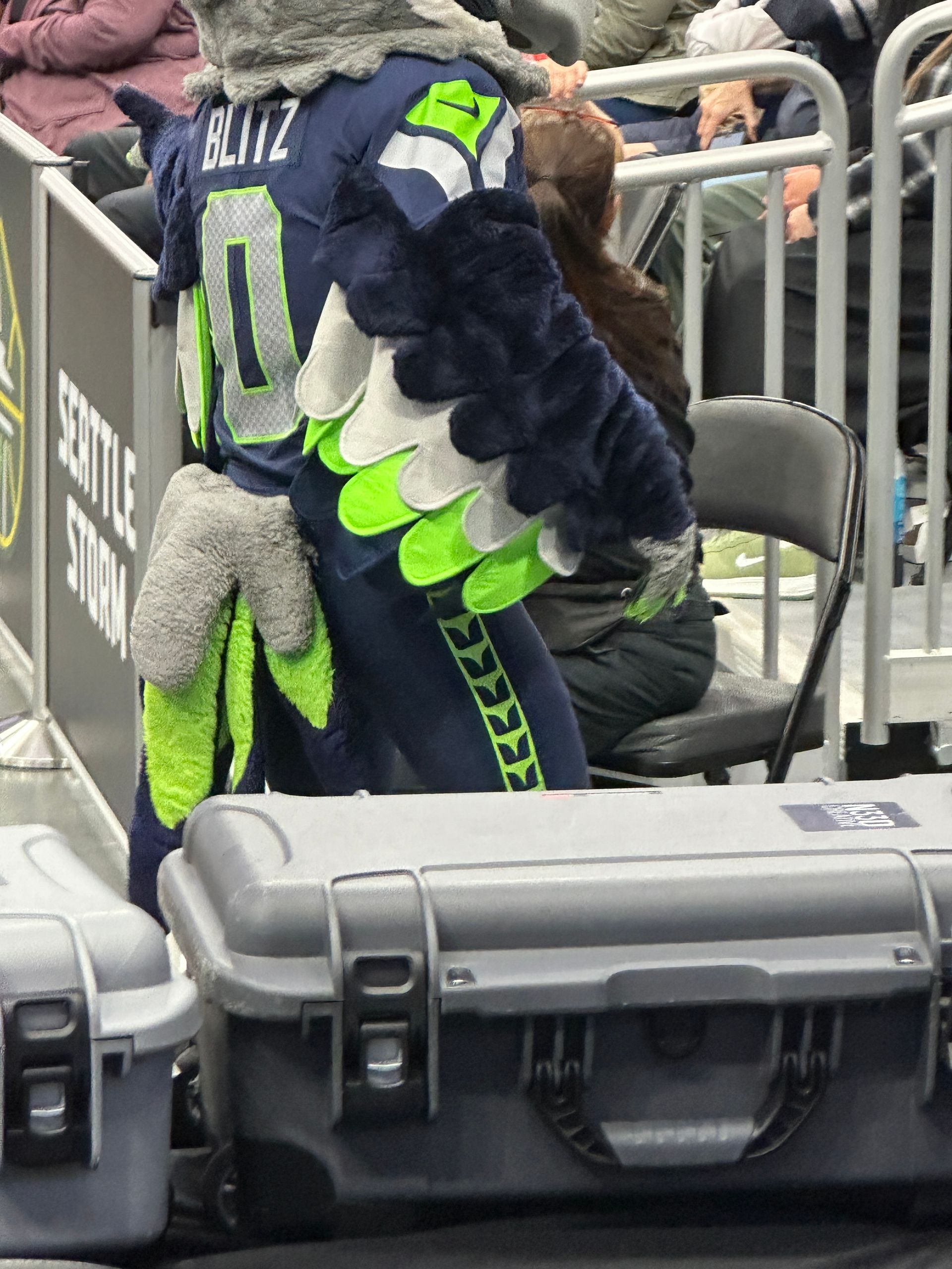 A seattle seahawks mascot is standing next to a case