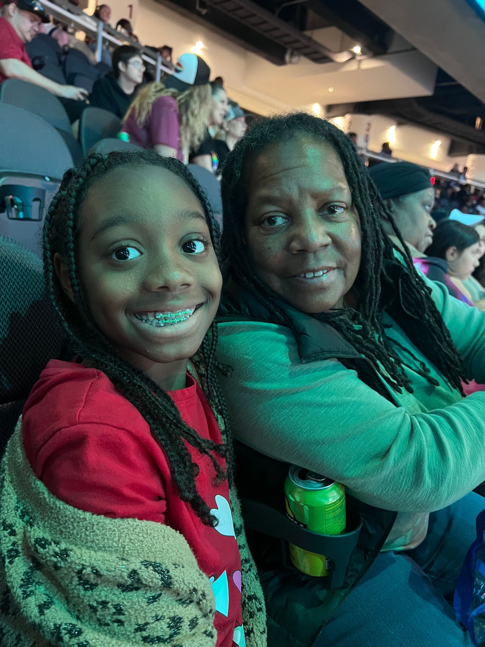 A woman and a little girl are sitting next to each other in a stadium.