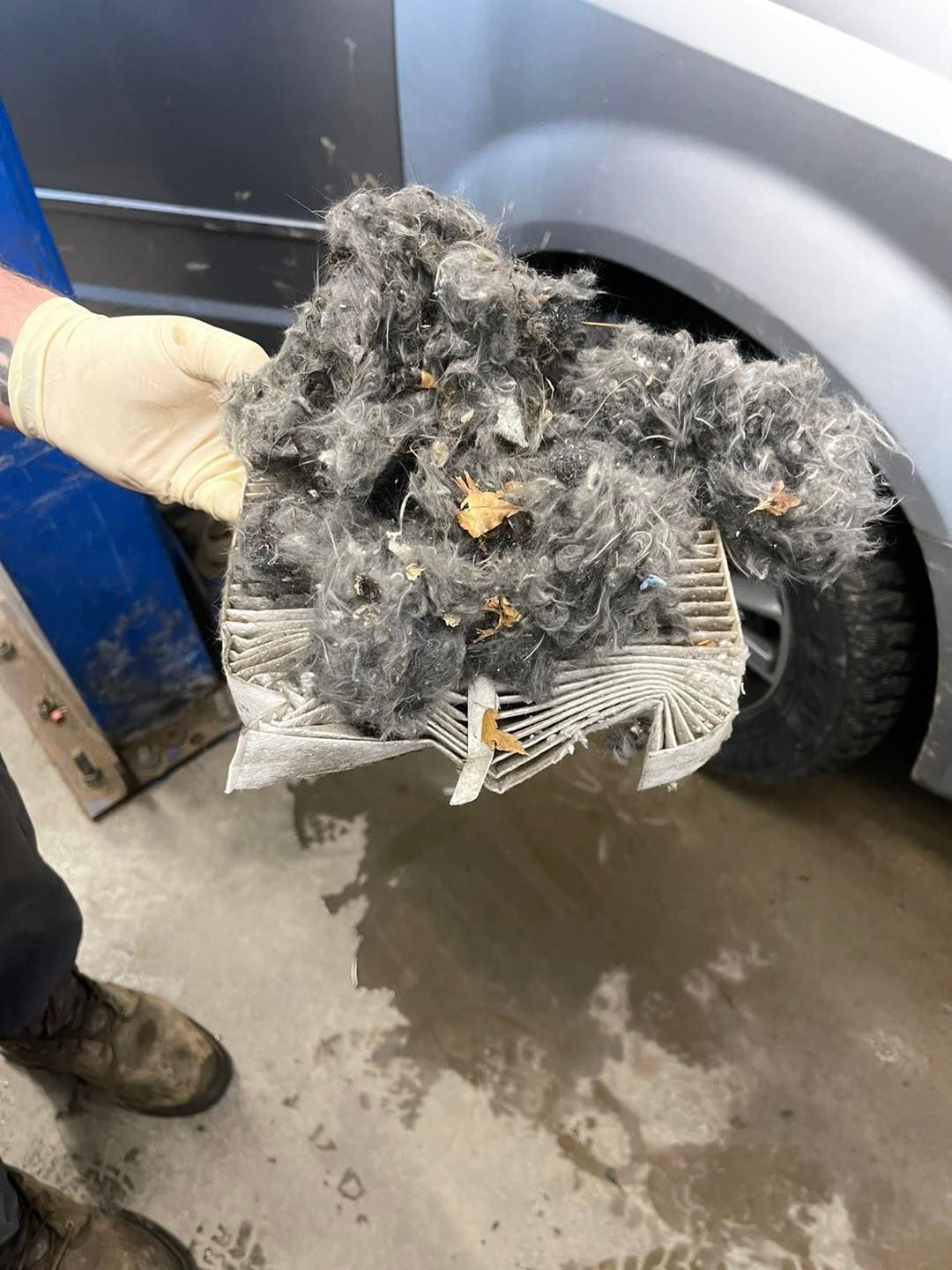 A person is holding a pile of dust in front of a car.