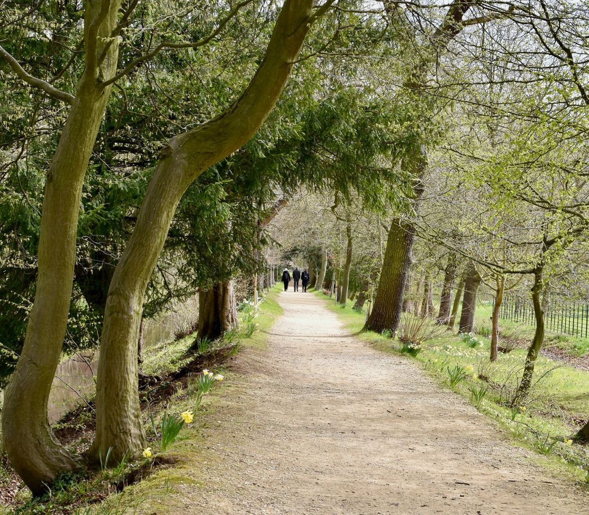 A man and a boy are sitting at a table looking at a cell phone.