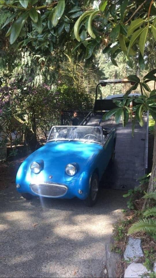A blue car is parked in a driveway next to a tree.