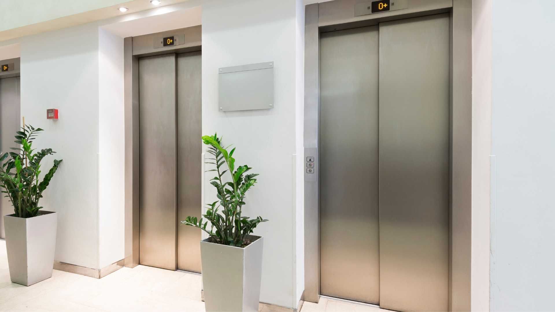 A hallway with two elevators and potted plants.