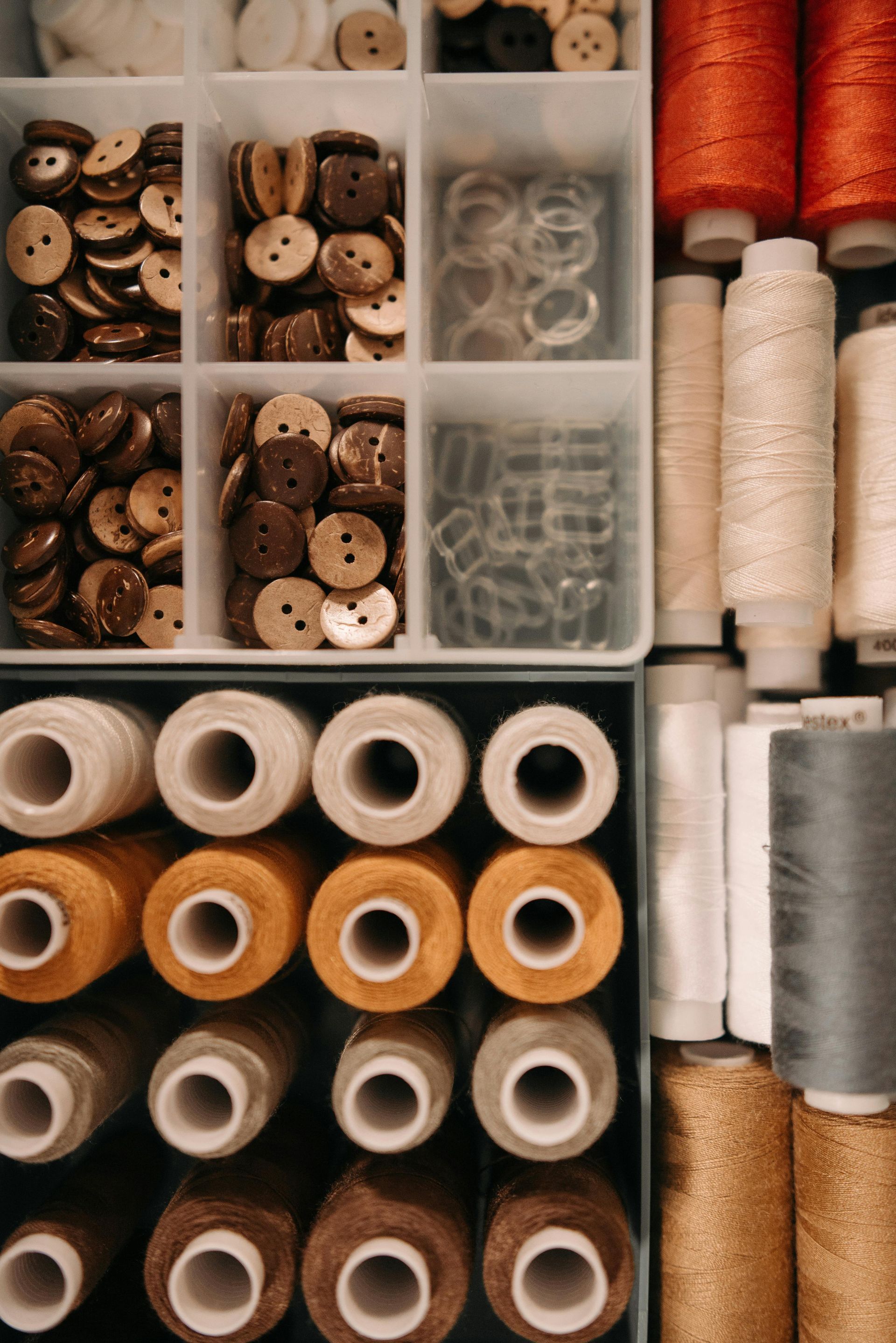 Una bandeja de almacenamiento dividida que contiene varios botones marrones y transparentes.