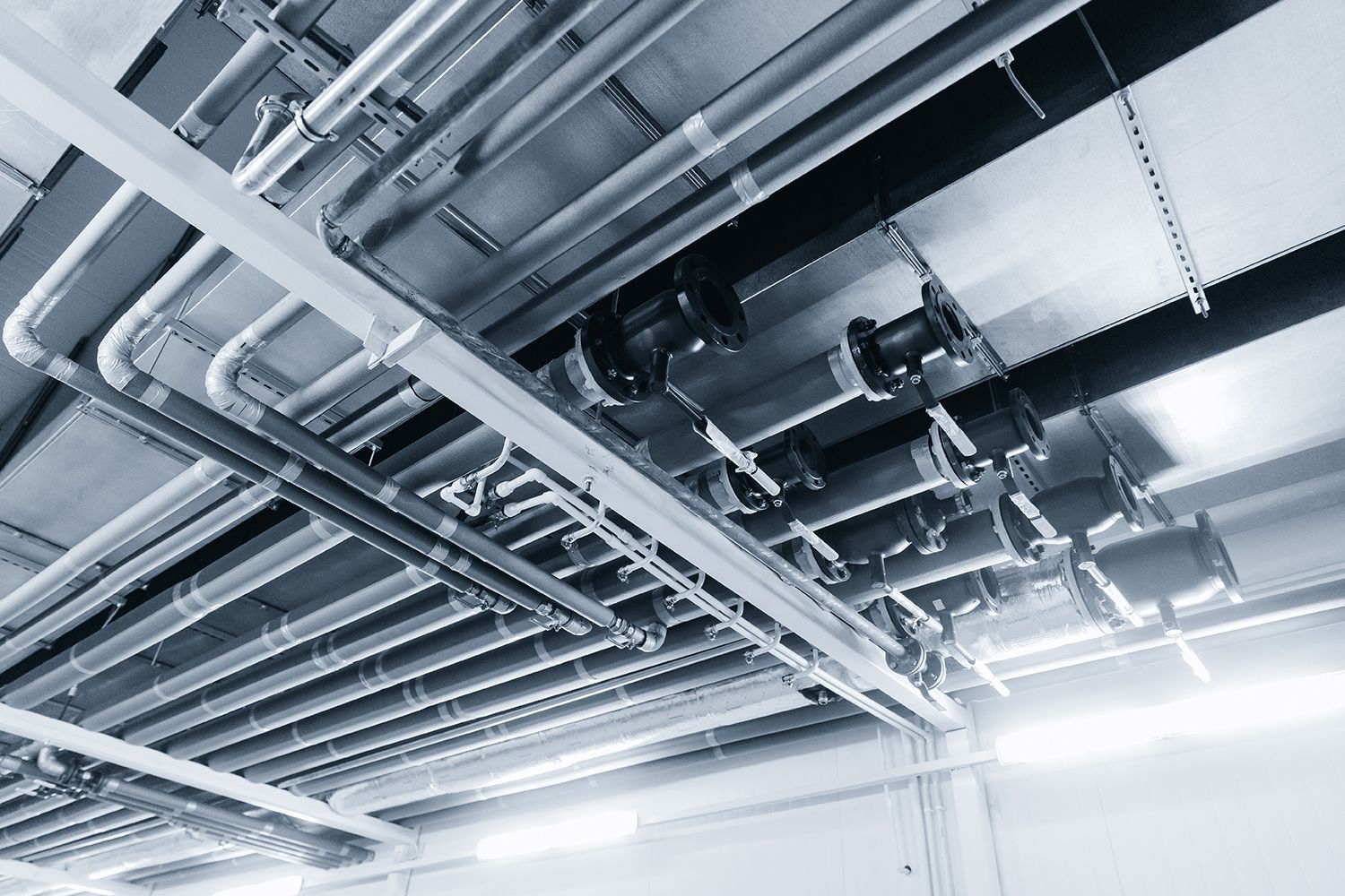 Ceiling view of metal pipes and ducts in an industrial utility room