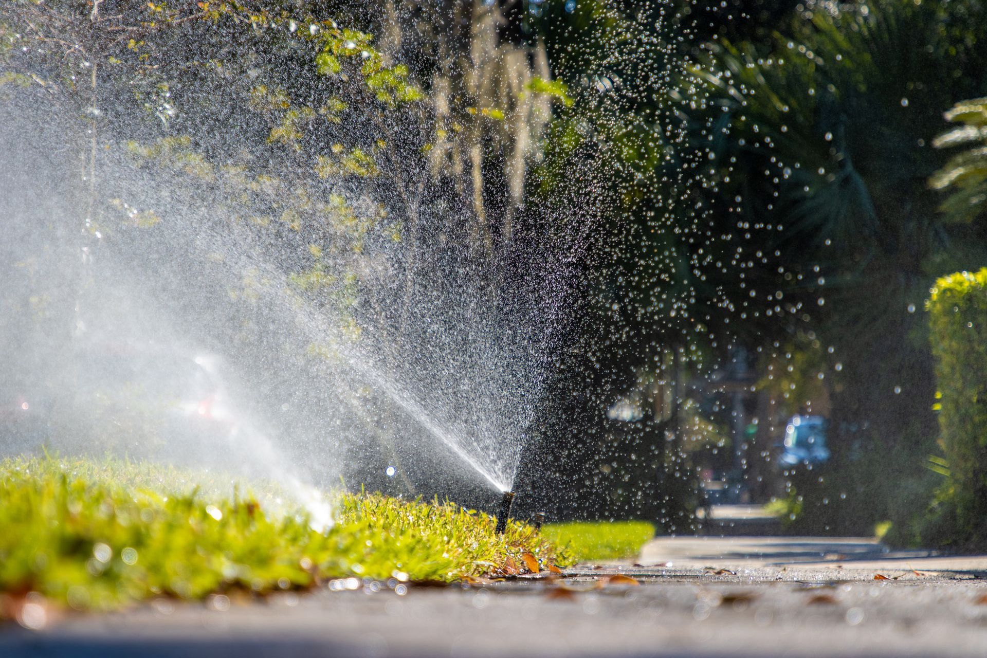 Hand Installing Sprinkler for Irrigation — Denver, CO — Mile-Hi Sprinkler