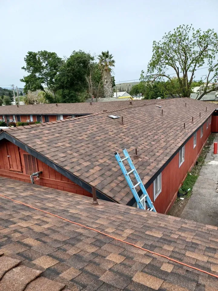 Brown shingled roofs on red buildings with a blue ladder, trees, and a cloudy sky.