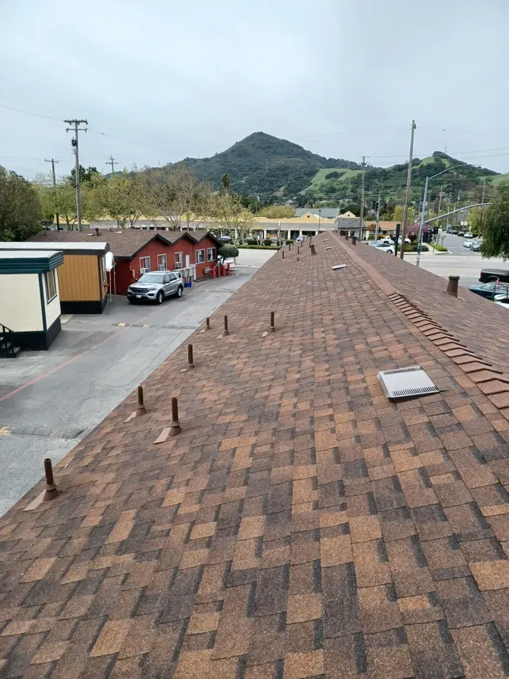 Rooftop view with brown shingles, metal vents, and buildings below. Mountain in the distance. Overcast sky.