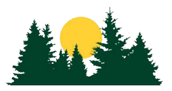 Yellow sun rising behind green evergreen trees.