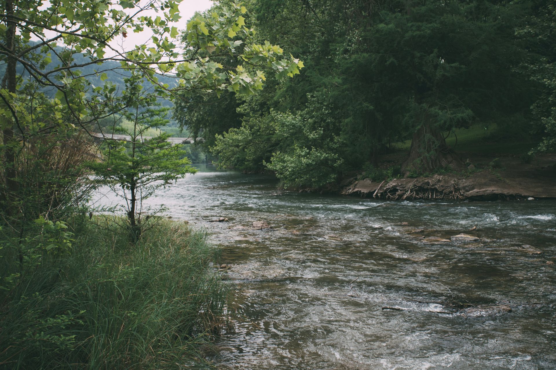 A flowing river, surrounded by green trees and foliage, under a cloudy sky.